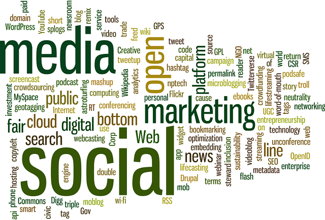 best-seo-service-provider-in-pune